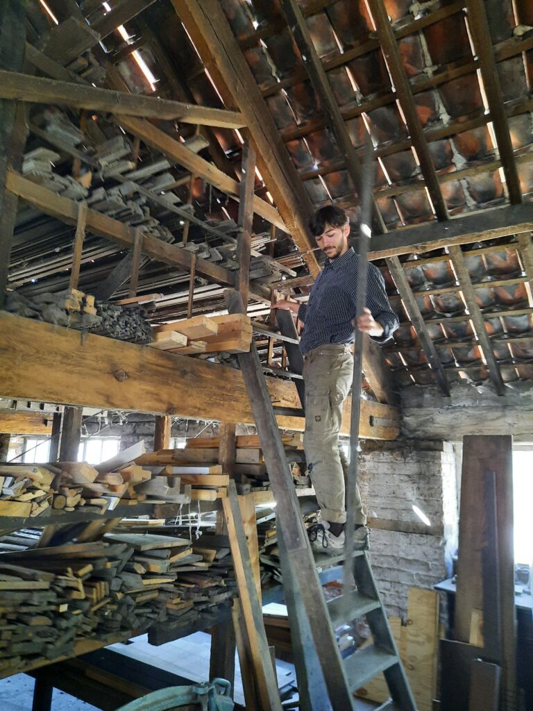 ladder