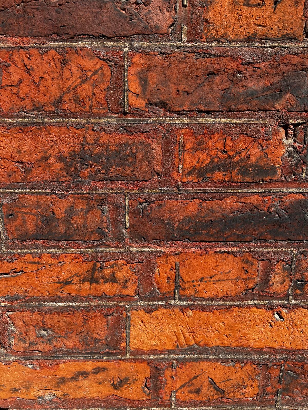 Conservation tuck pointing